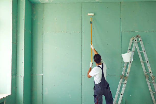 Best Eco-Friendly and Low-VOC Painting  in Kenner, LA